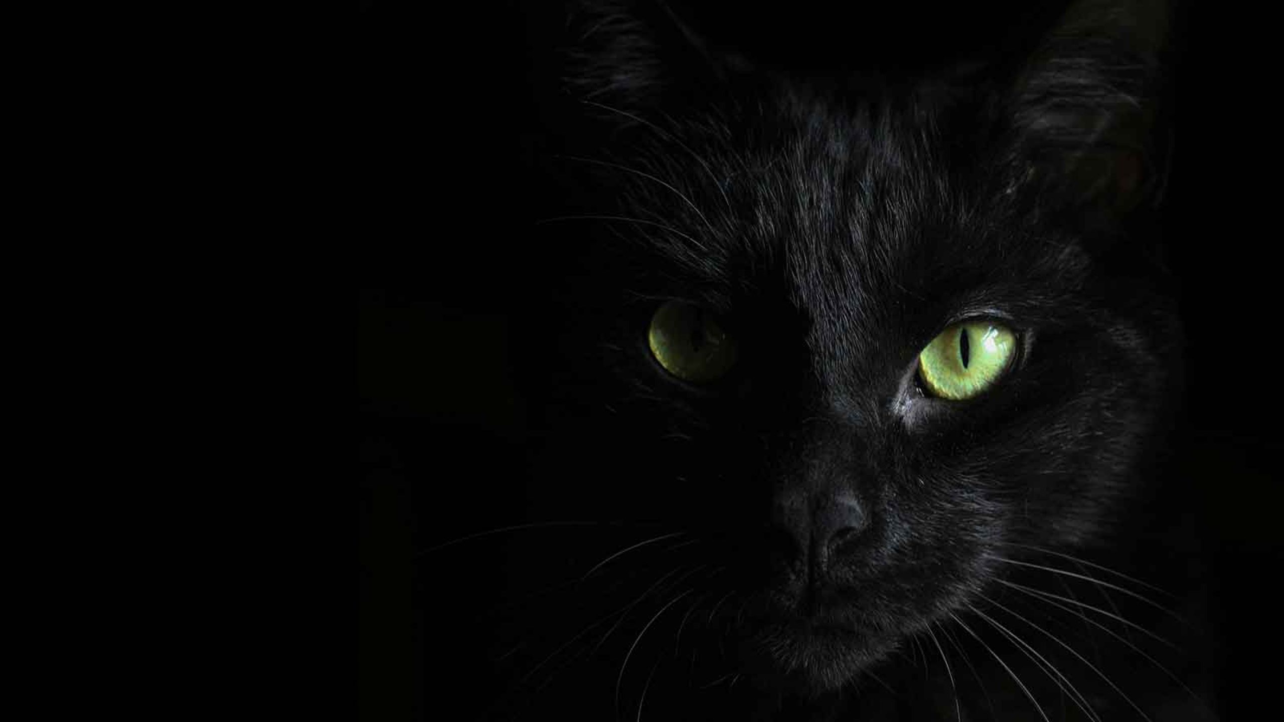 Pecweb Agency - Engagement e Fidelizzazione